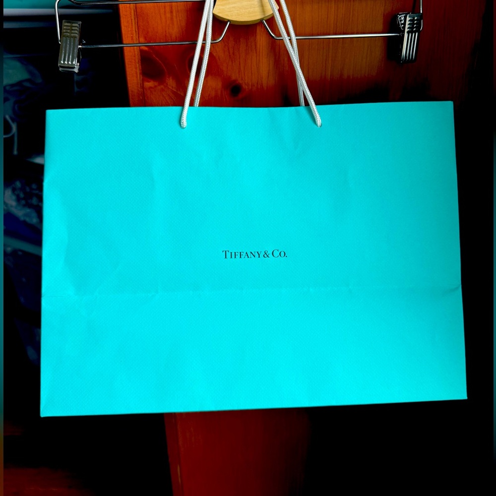 Tiffany & Co Paper Shopping Bag - Used, Good Condition